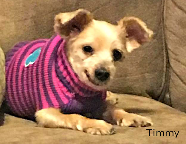 Timmy - My Loveable Angels